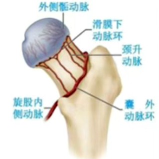 微信圖片_2026-03-12_130237_668
