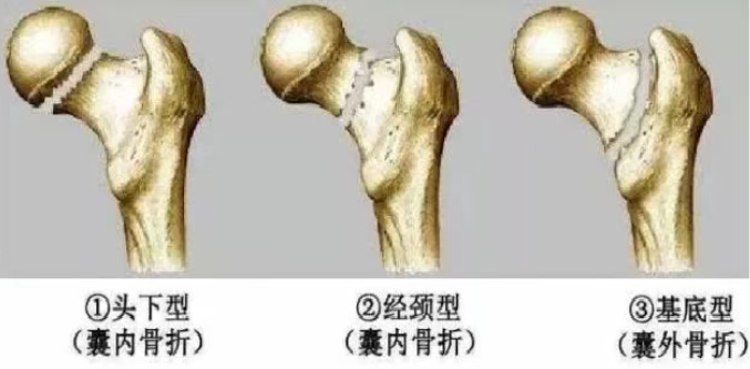 微信圖片_2026-03-12_130241_764