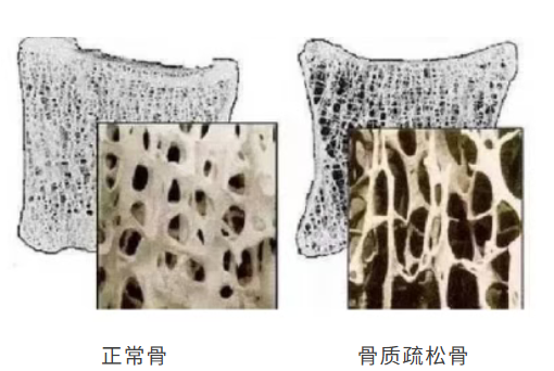 微信圖片_20260320144103_100_205