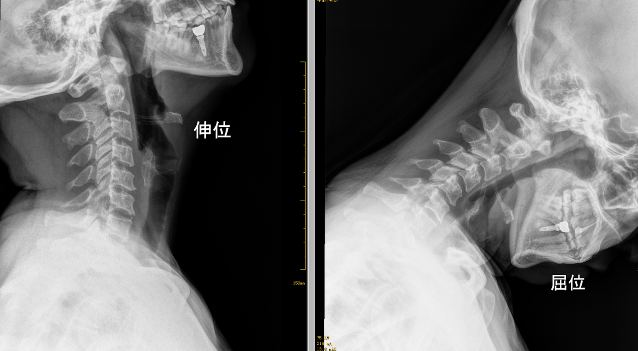 微信圖片_2026-04-24_170601_957