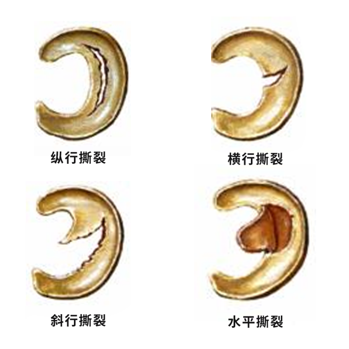 圖片2